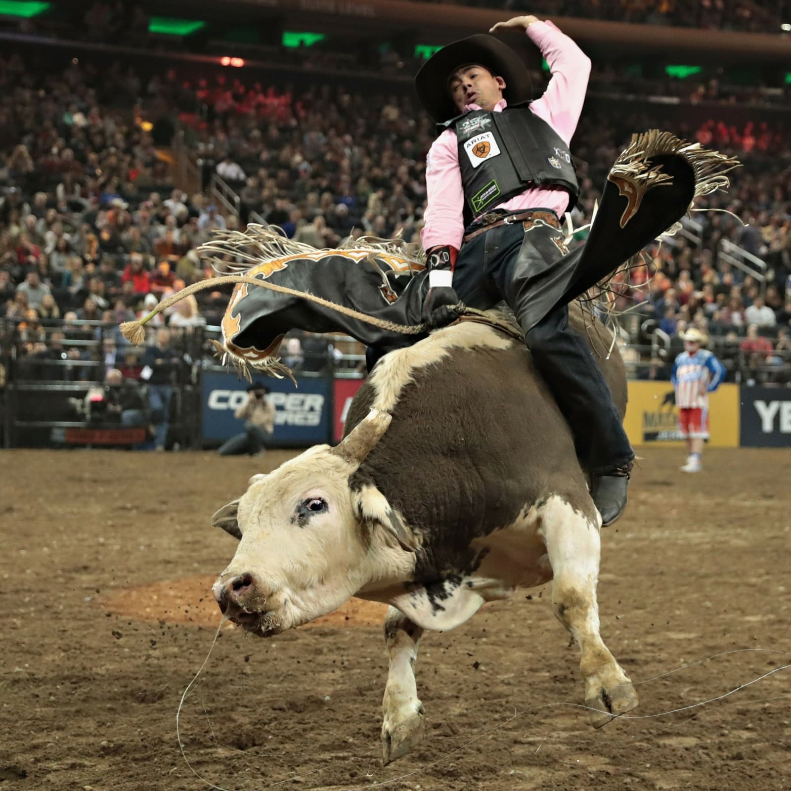 Saxo Investment Bank is Bullish on Crypto Over Next 3 Months