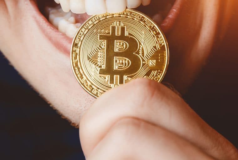 Cryptocurrency Is the Main Income for 12% of Russian Crypto Users