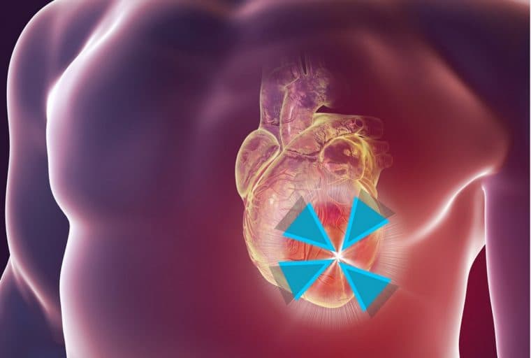 Verge Is Forced to Fork After Suffering a 51% Attack