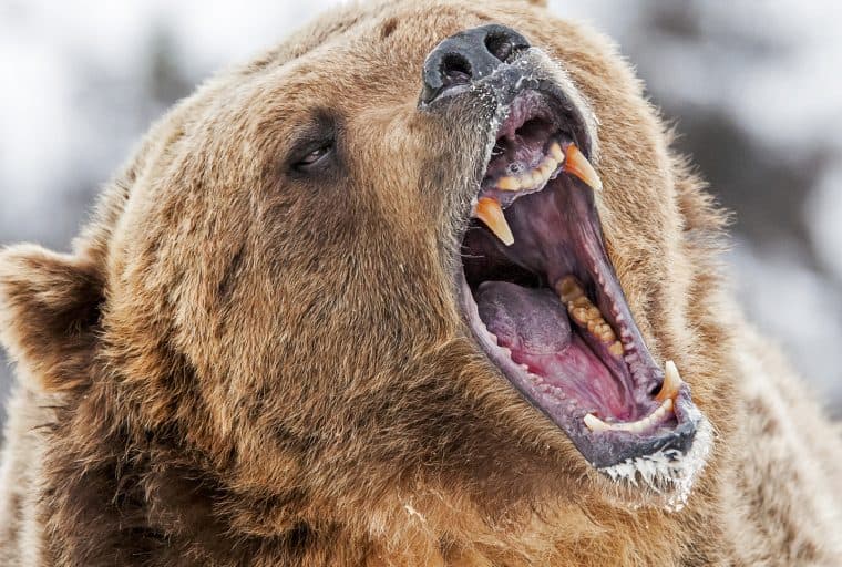 Markets Update: Bear Market Adds Cryptocurrency Trading Uncertainty