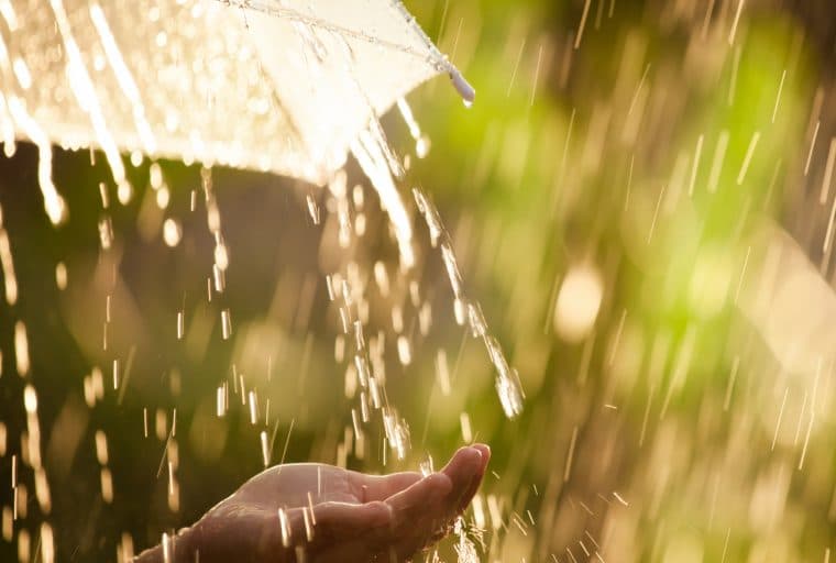 Markets Update: Stormy Weather Continues to Plague Cryptocurrency Traders