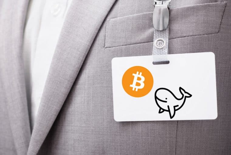 How to Survive a Blockchain Conference Without Getting Hacked