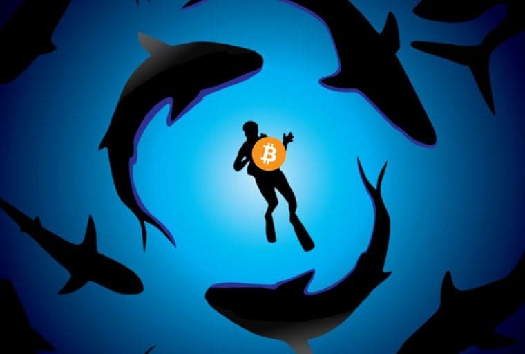 Inside the Competitive World of OTC Bitcoin Trading