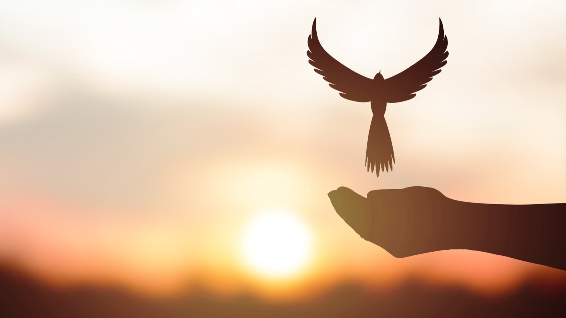 PR: Bcshop.io Launches Ethereum Based E-Commerce and Payments Platform