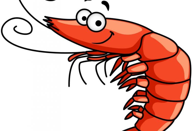 Shrimp, Frogs, and Drugs Are Clogging the Ethereum Blockchain