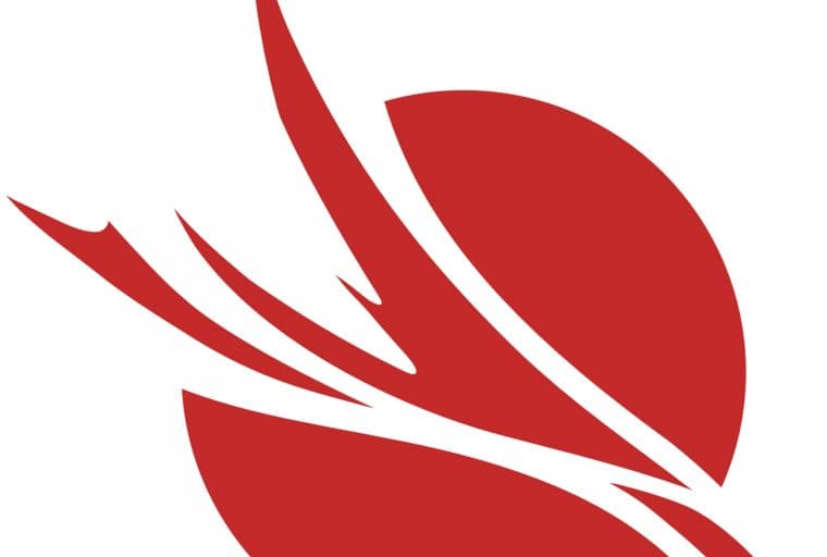 What's In a Name? The Identity Crisis for Initial Coin Offerings