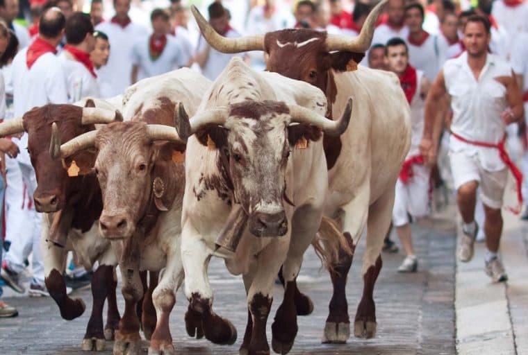 Bitcoin in Brief Wednesday: McAfee Predicts Bull Run as Crypto Markets Dip