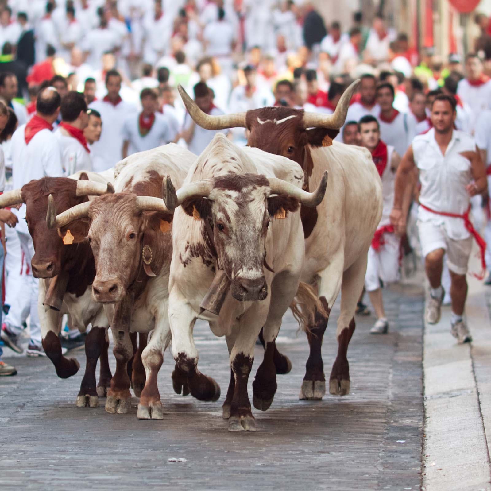 Bitcoin in Brief Wednesday: McAfee Predicts Bull Run as Crypto Markets Dip