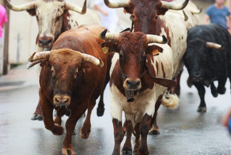 Bitcoin in Brief Saturday: Bulls Test $10,000, Russian Crypto-Millionaire Found Dead, Cobinhood Launches IOTA Trading