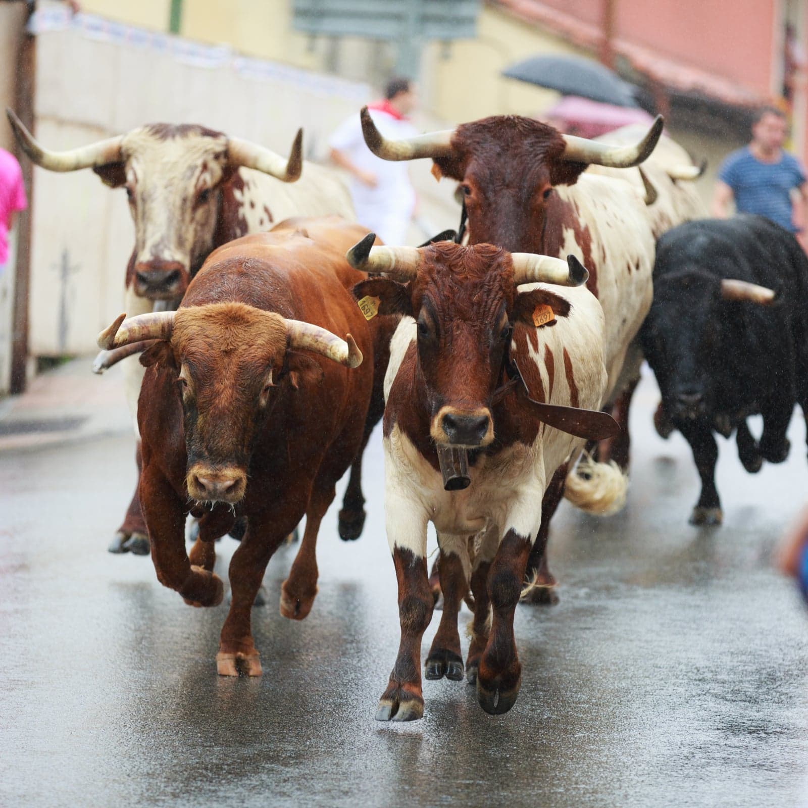 Bitcoin in Brief Saturday: Bulls Test $10,000, Russian Crypto-Millionaire Found Dead, Cobinhood Launches IOTA Trading