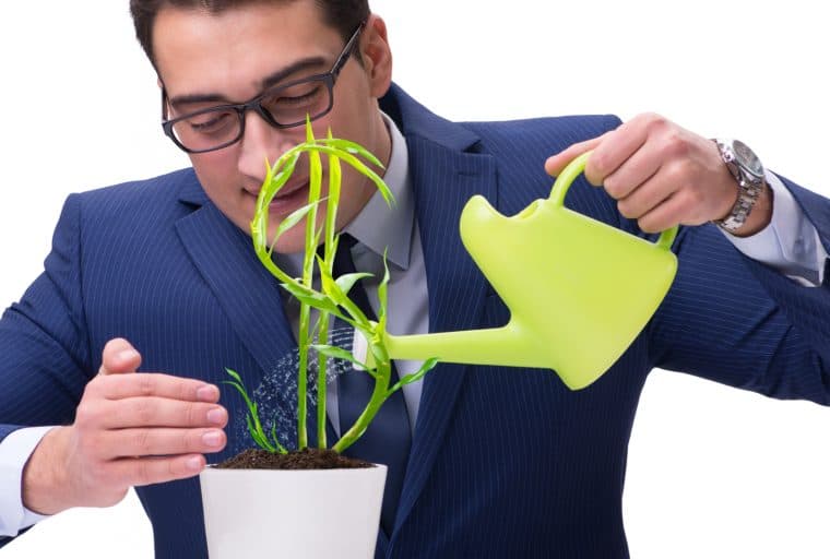 May Breaks 2018's Down-Trend in Monthly Total Raised by ICOs