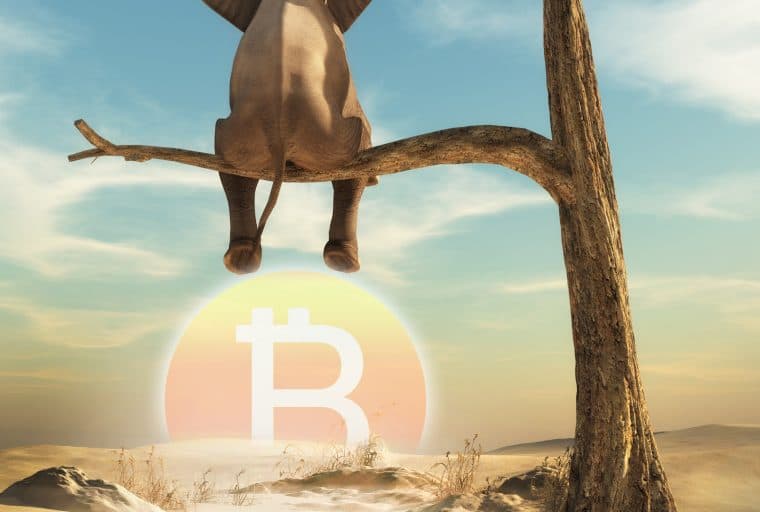 Wendy McElroy: Crypto and the Impossibility of Knowledge in Planning