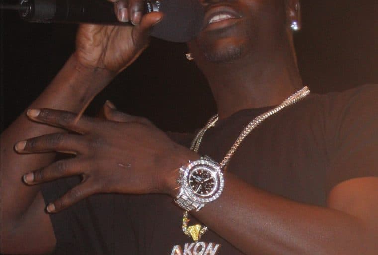 The Daily: Akon Launches Akoin, ICO Mogul Buys $19M Land with Bitcoin