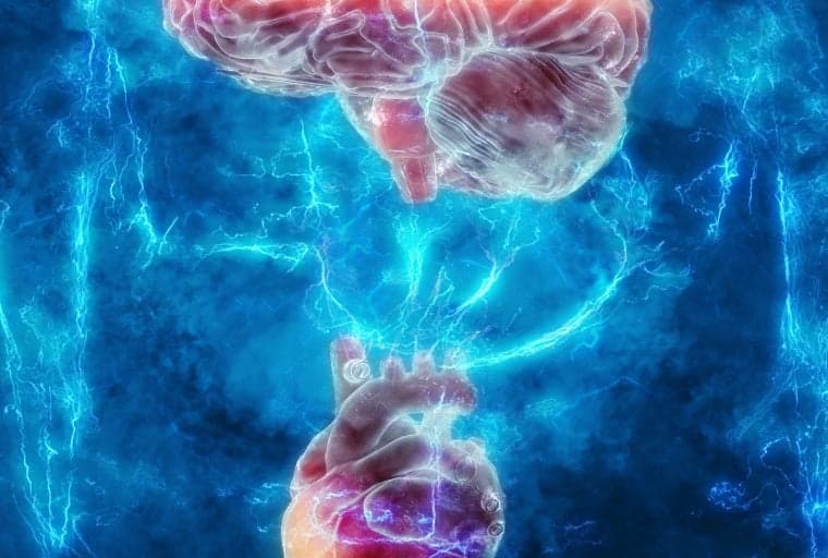 The Reasonable Network