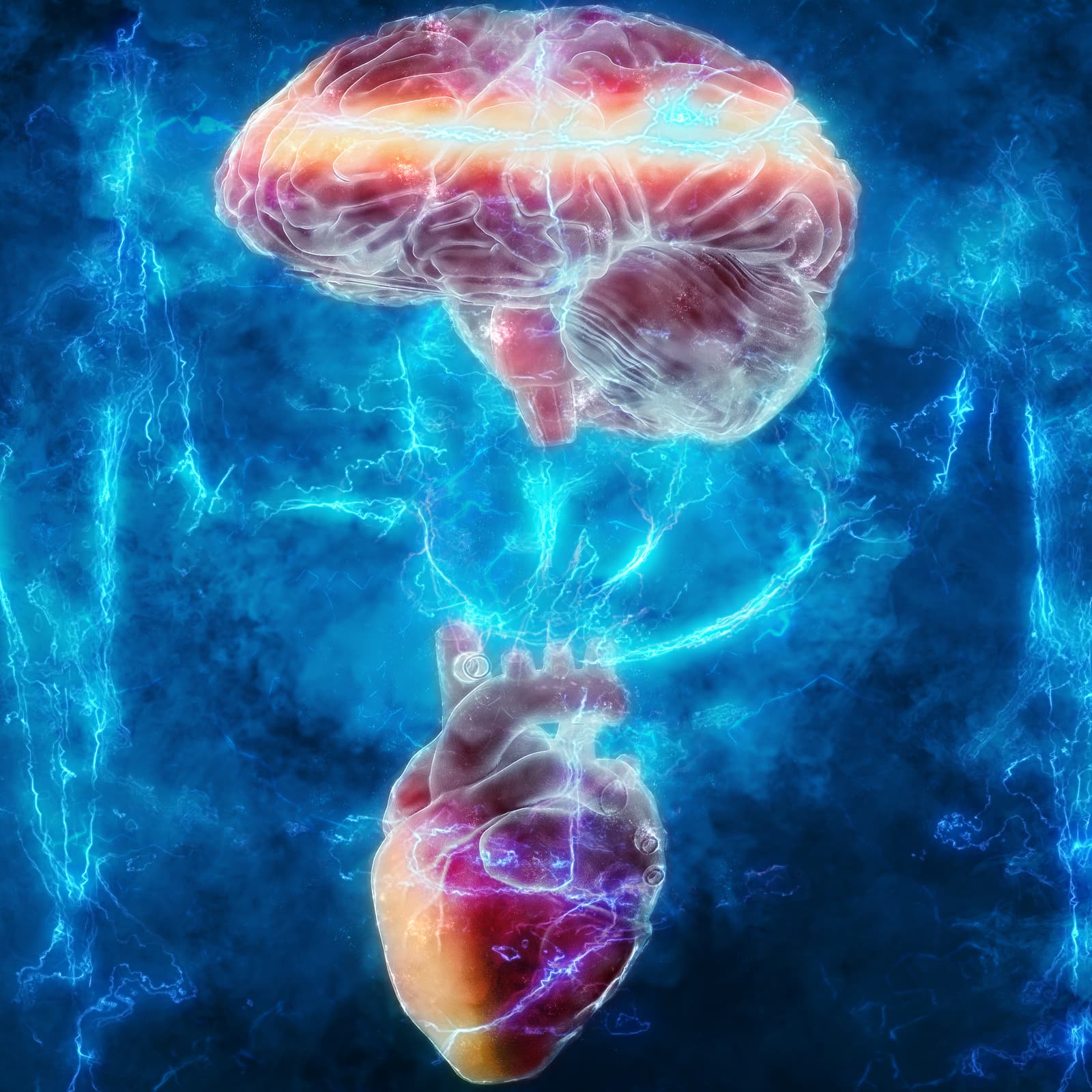 The Reasonable Network