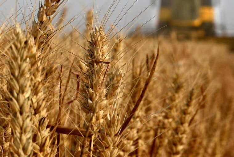 Russian Farming Village: Local Crypto, Bitcoin Reserves, No Govt Money