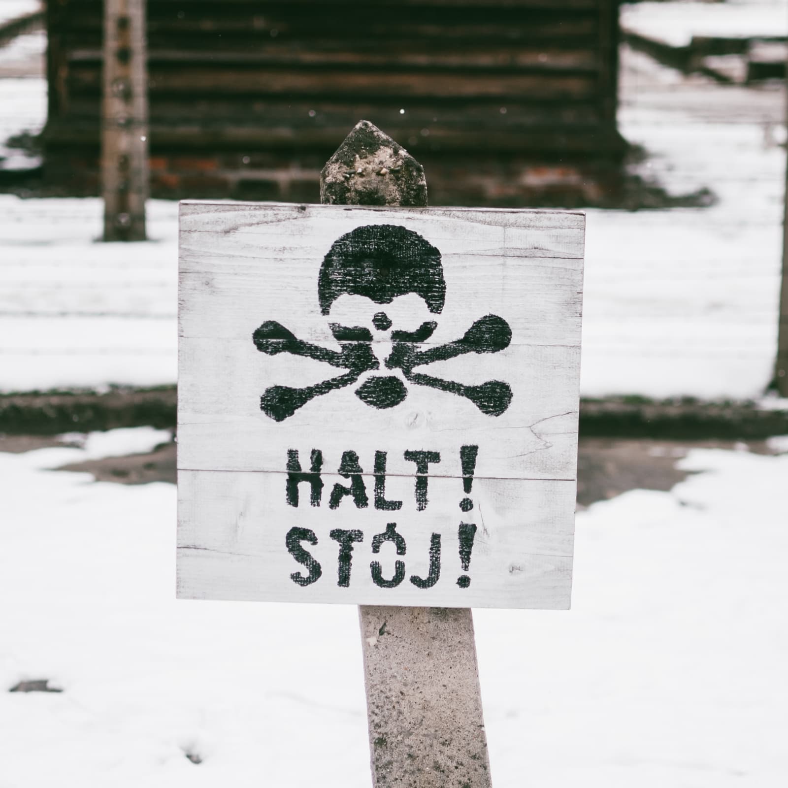 Bitcoin in Brief: Halting 51% Attacks and Where Now for Ripple?