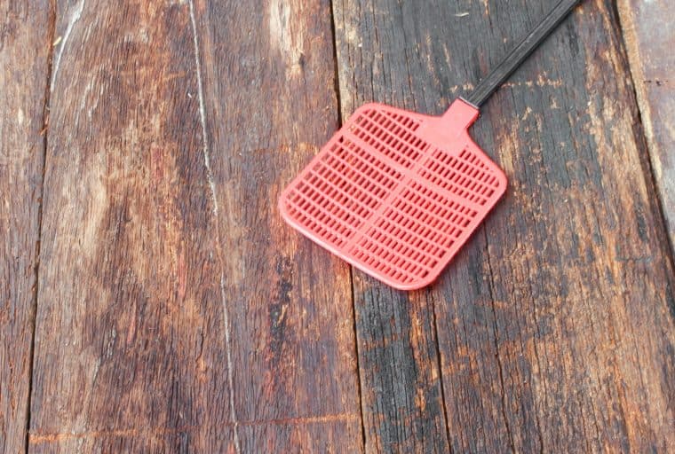 Bitcoin in Brief Thursday: New Tech and a Quick Way to Make a Fortune in Crypto