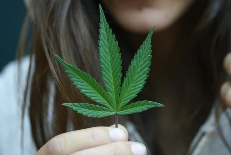 TASE Shell Company Switches Plans From “Blockchain” to Cannabis