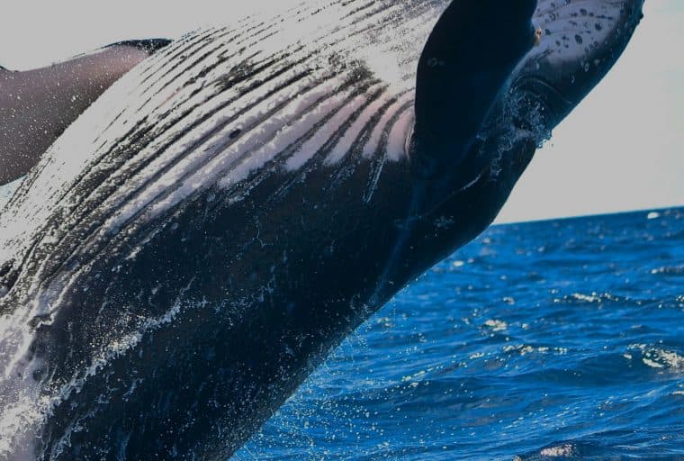 Fidelity Investments Hints at Entering Cryptocurrency Exchange Space