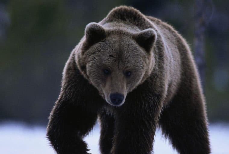 The 2018 Crypto-Bear Market Less Severe Than 2014, At Least for Now