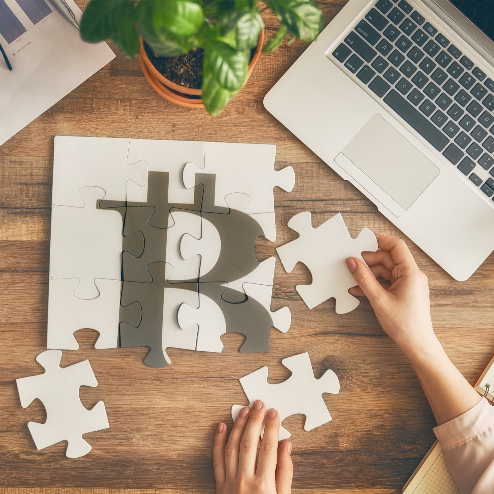 This Week in Bitcoin: McAfee Backs Off, Crypto World Cup and the Mystery of 21e8