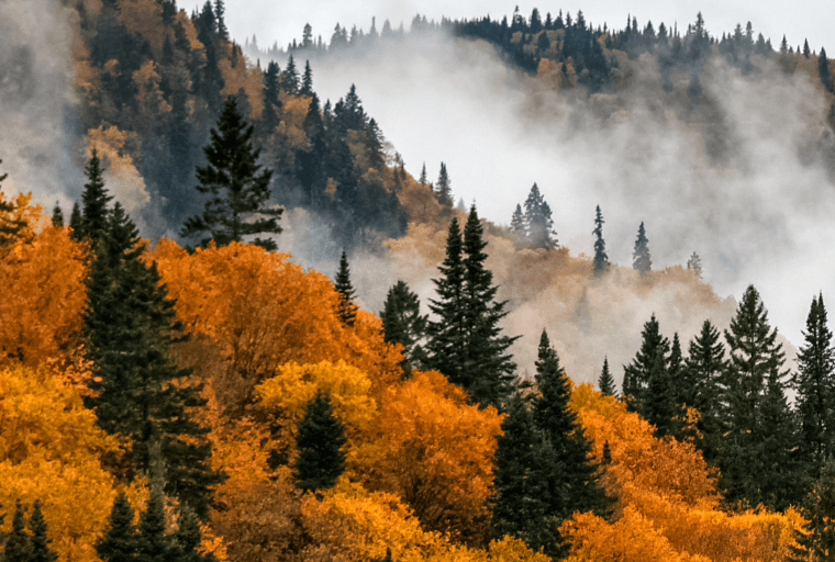 Quebec Hikes Electricity Price: Crypto Miners to Pay up to 3 Times Current Rate