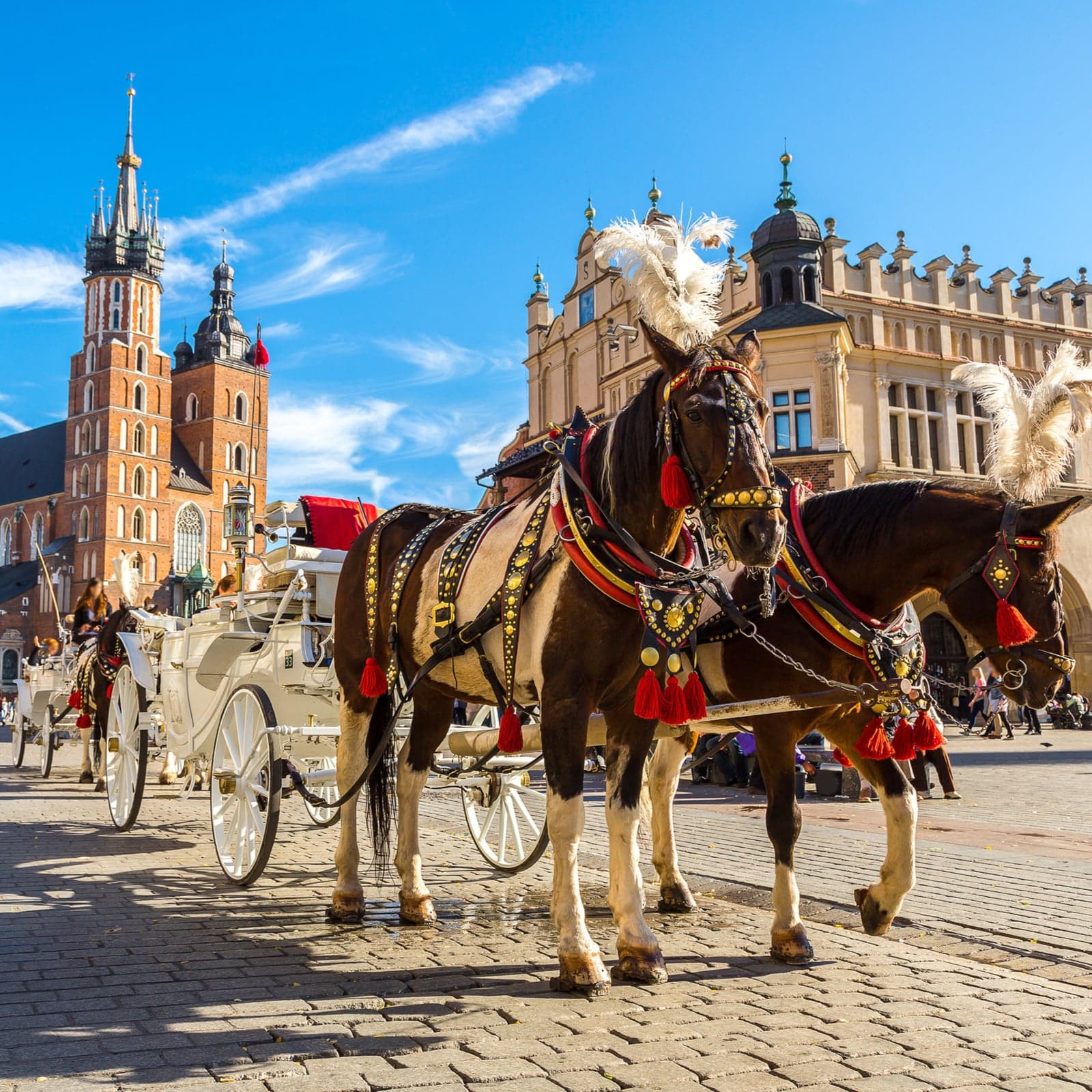 Polish Bitcoin Association Seeks Protection from Alleged Banking Embargo