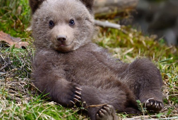 Markets Update: Leading Cryptocurrencies Break Above Bear Channels