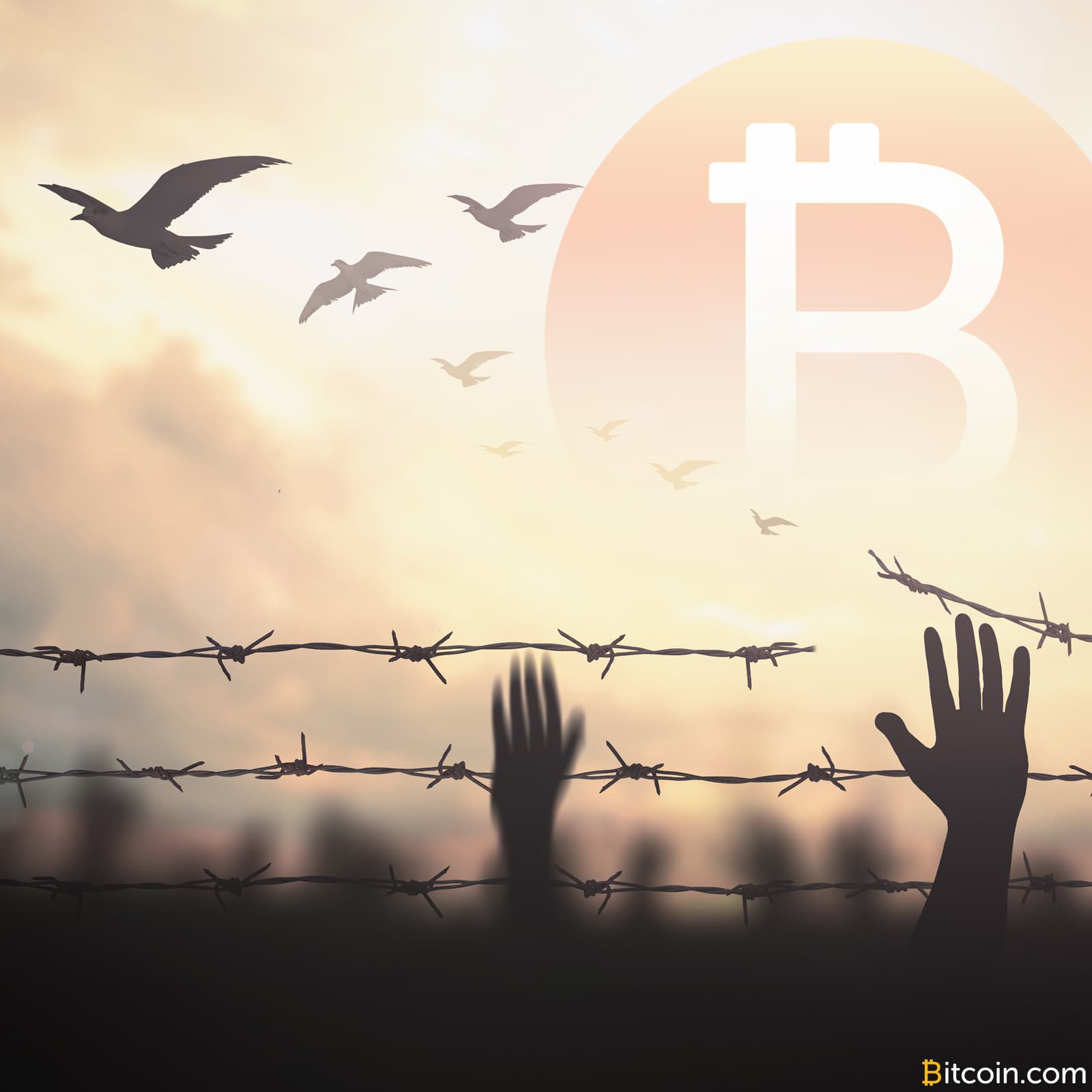 Wendy McElroy: The Free Market Can Provide Law