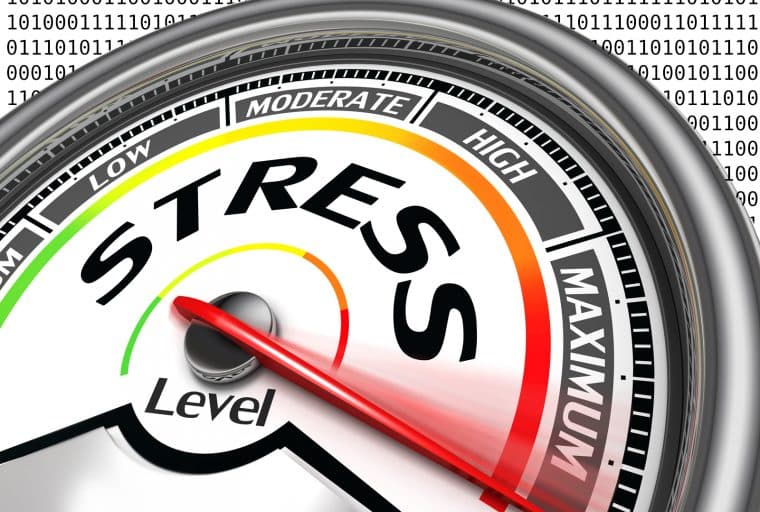 Preparations for the Bitcoin Cash Stress Test Day Begin