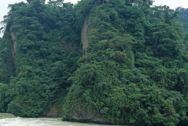 The Daily: Fake Trezor Website, Floods Take Out Mines, and New Crypto Investments