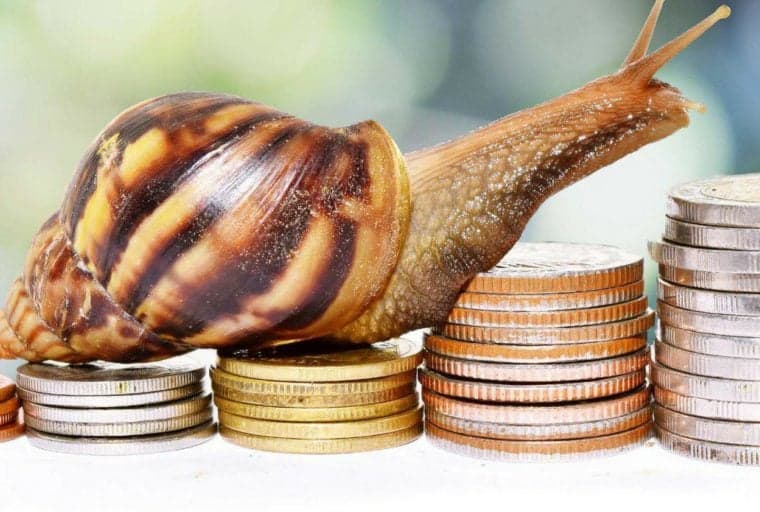 Global Data Report: Cryptocurrencies are Expensive, Slow, Unspendable, Cannot Scale