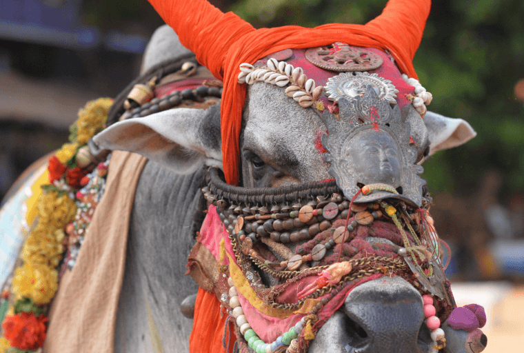 Indian Crypto Regulation Ready by September: Official