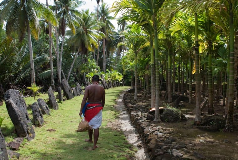 Archaeologists Argue Micronesian Stone Money Comprises Bitcoin Predecessor