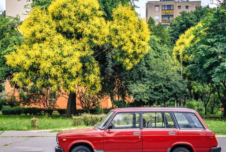 Eastern Europe: Regulation Postponed, Tax Abandoned, Banks Enlightened