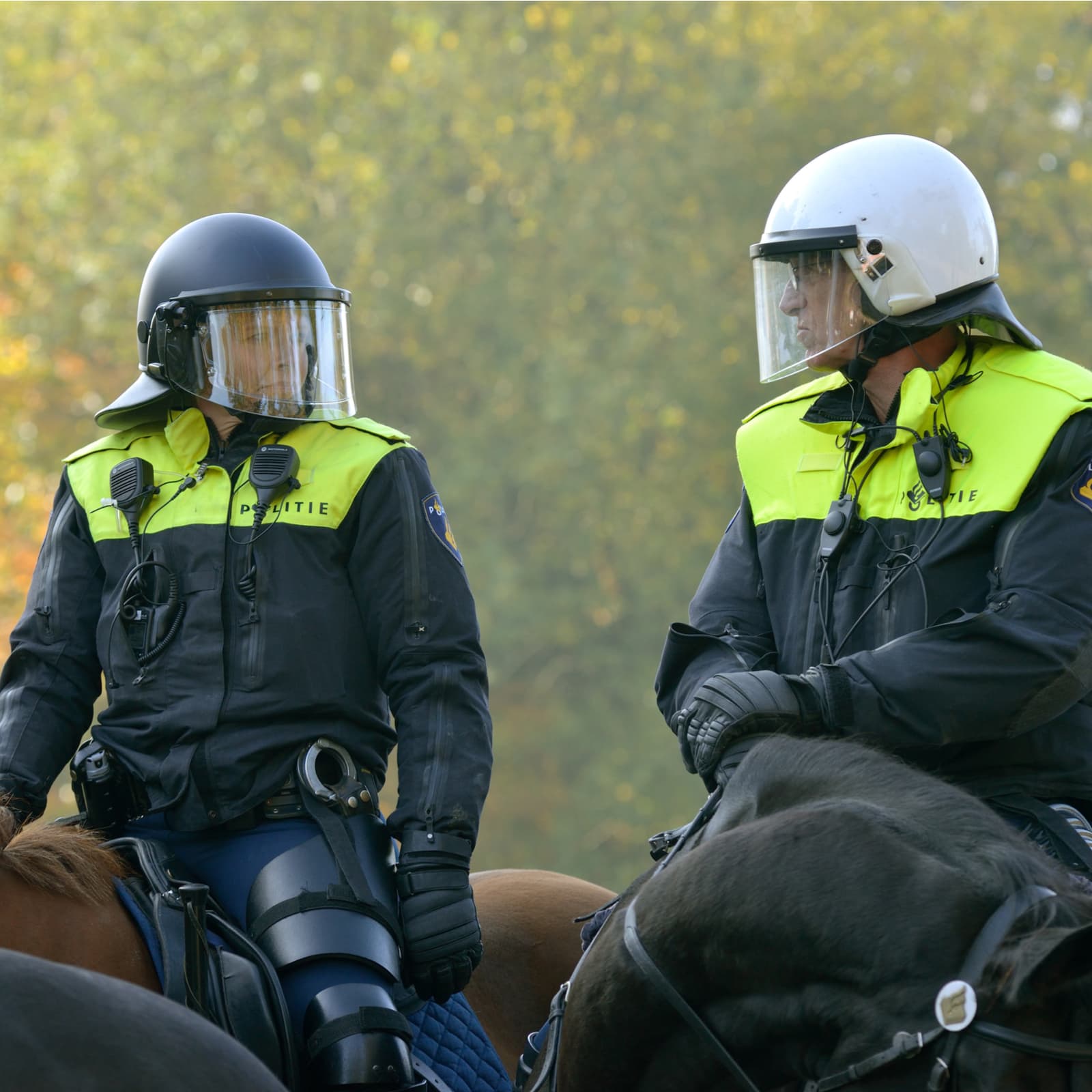 Regulations Round-Up: Holland Targets Electricity Theft, MI Republican Wants More Oversight