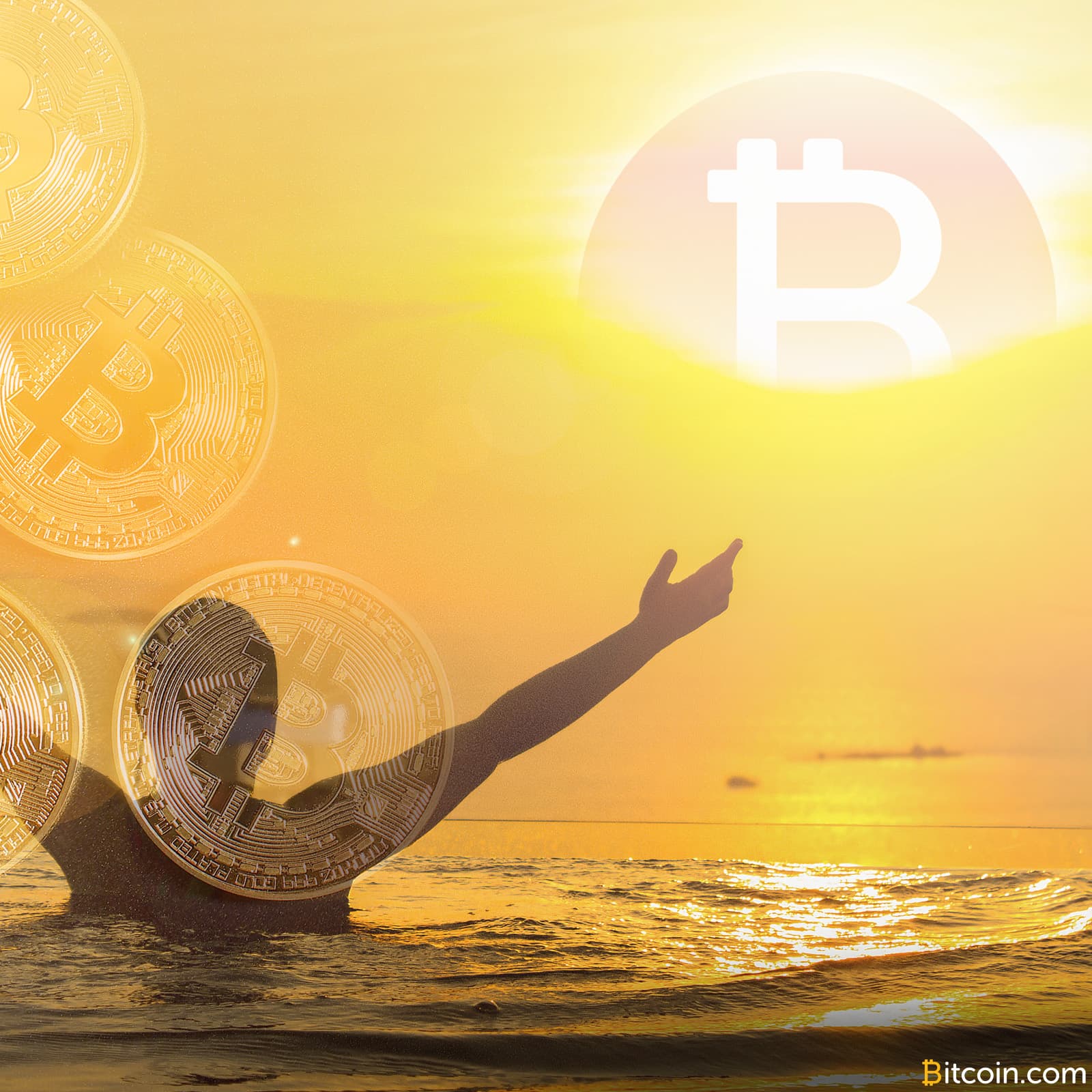 Wendy McElroy: Free-Market Law Enforcement for Crypto