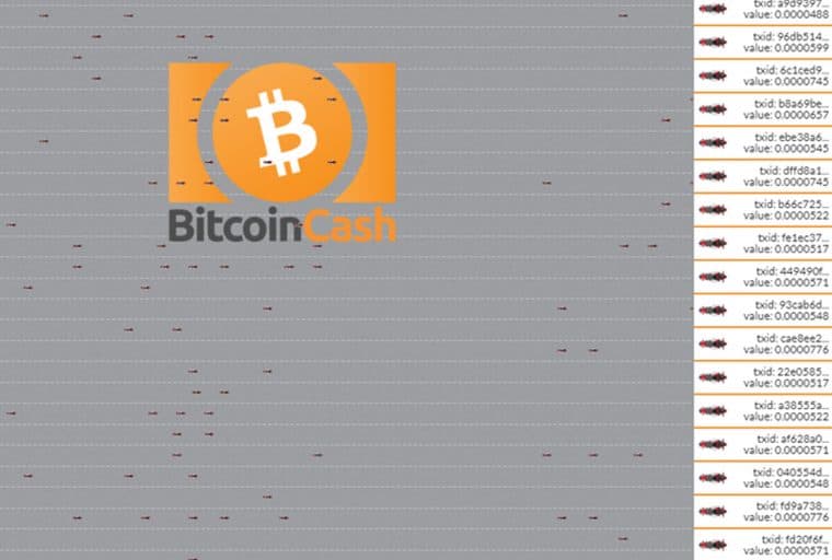 The Bitcoin Cash Network Processed 687,000 Transactions on August 1st