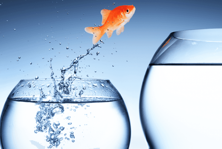 Japan's Internet Giant GMO Unveils New Crypto Priorities, Exchange Profits Up 7-Fold