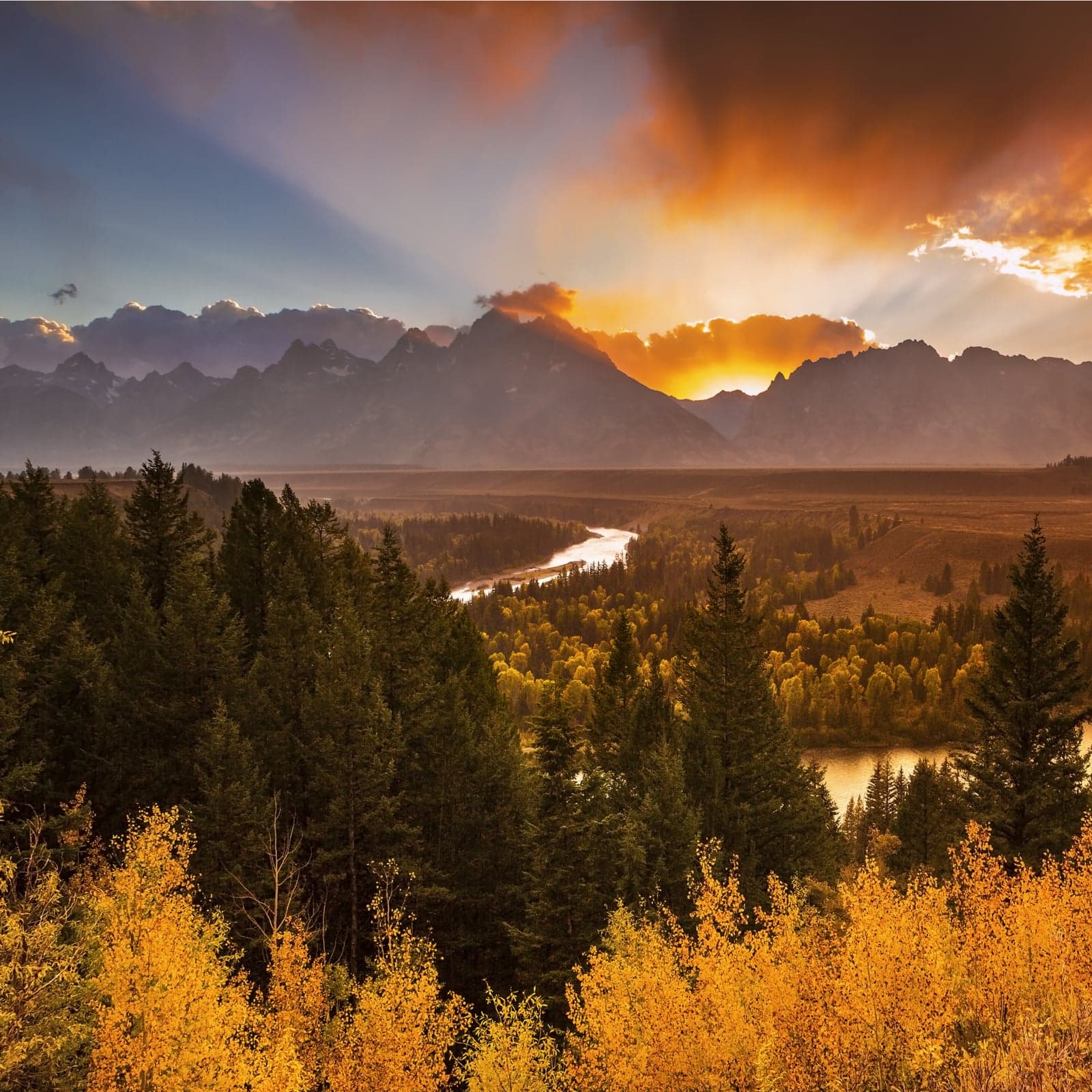 The Daily: Robinhood Reaches Iowa and Georgia, Coinbase Returns to Wyoming