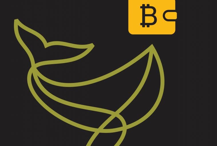 Storing a Lot of Bitcoins in One Wallet Is a Bad Idea