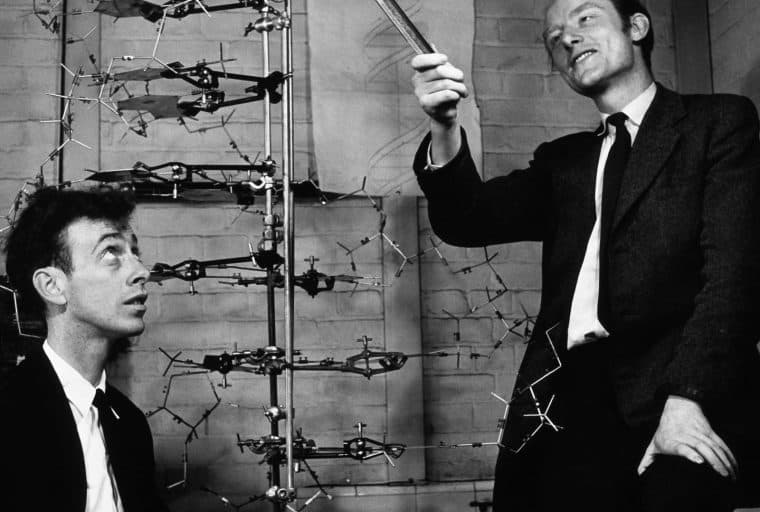 Bitcoin Cold Storage in DNA