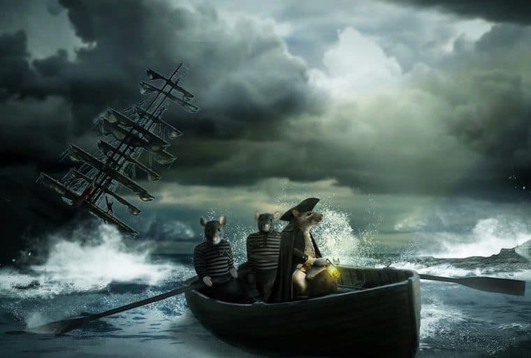 Bitcoiners Flee to Censorship-Resistant Platforms Amidst Social Media Clampdown