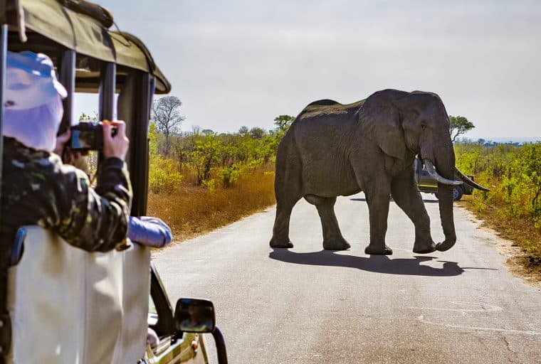 Ecobank Report Finds Significant Presence of Crypto in 36 African Countries