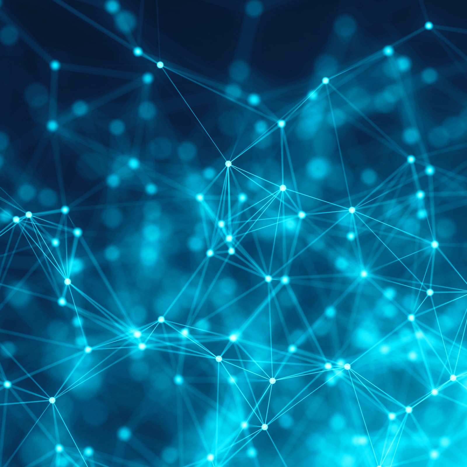 Wormhole Project Launches — $1.2M Worth of BCH Burned So Far