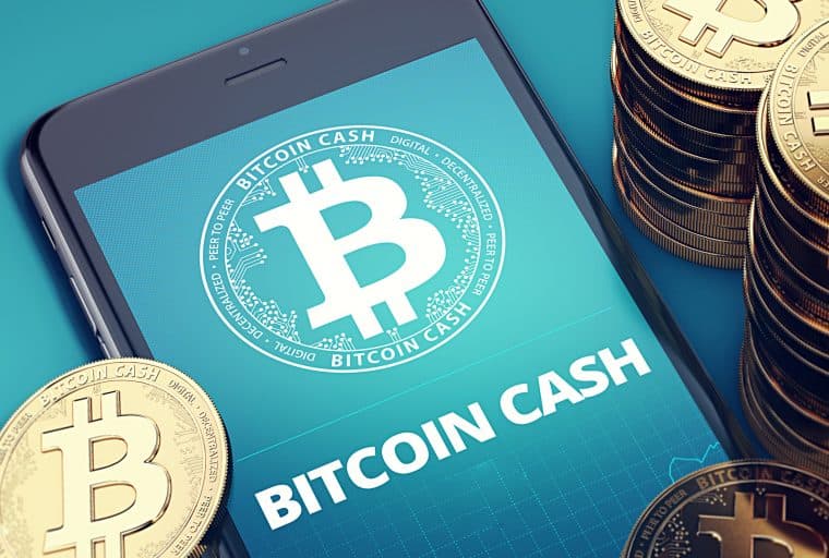 BCH Roundup: Rock Festivals, Long Form Blogging, and Prescription Drugs
