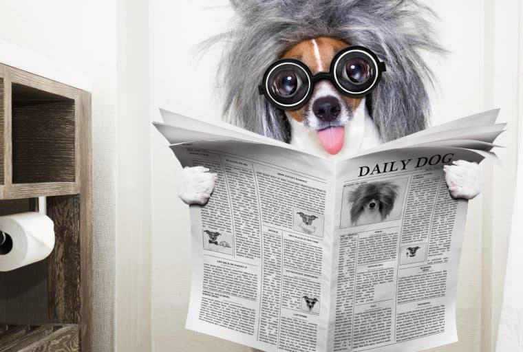 Crypto Hedge Fund Managers Aren’t as Smart as You Think