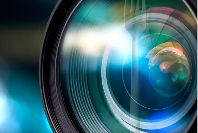 A Snapshot of Cryptocurrency Forks Shows the Biggest Winners and Losers