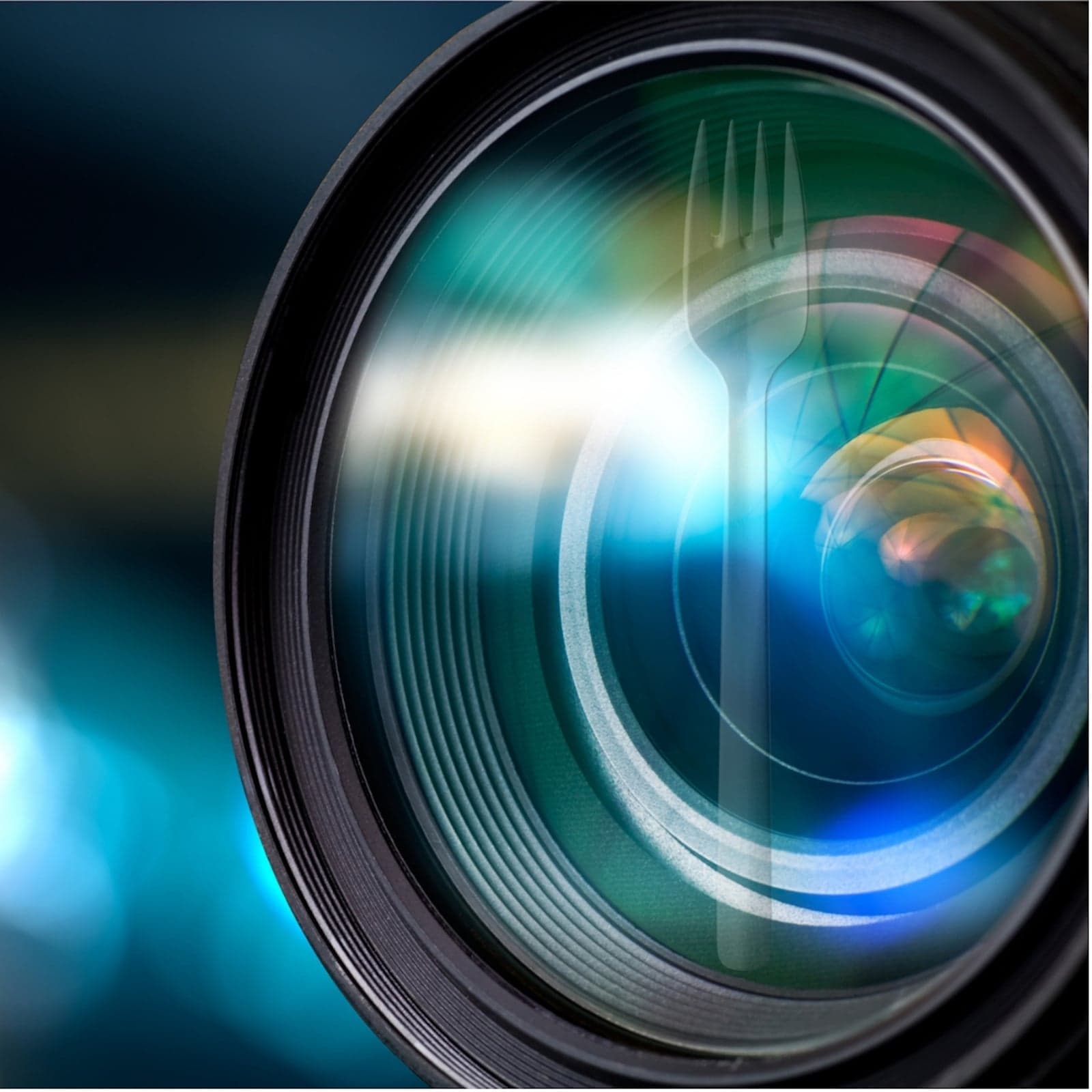 A Snapshot of Cryptocurrency Forks Shows the Biggest Winners and Losers